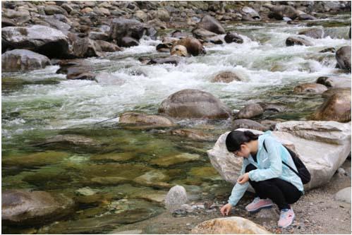 金沙990线路检测(集团)有限公司官网