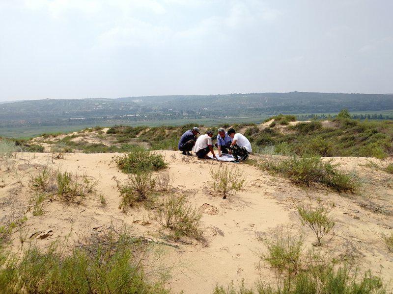 金沙990线路检测(集团)有限公司官网