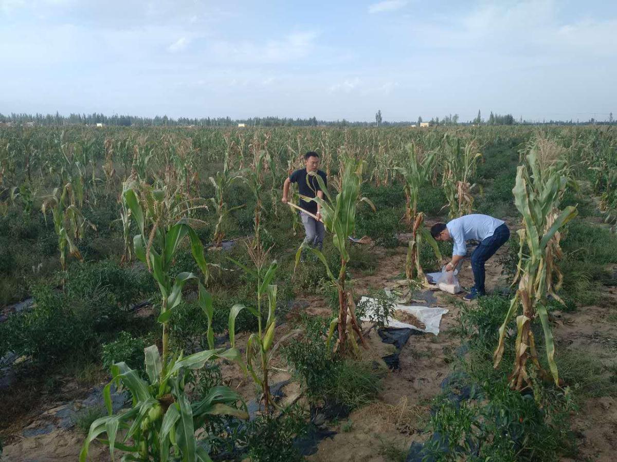 金沙990线路检测(集团)有限公司官网