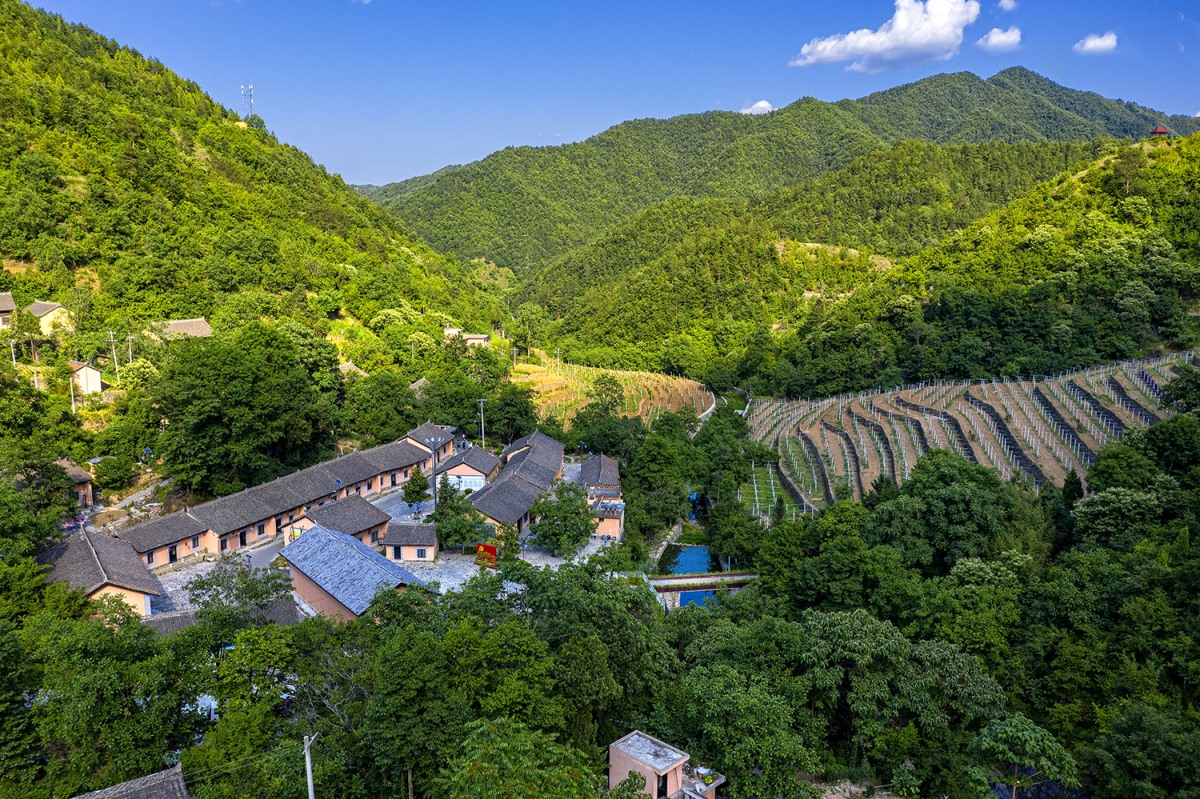 金沙990线路检测(集团)有限公司官网