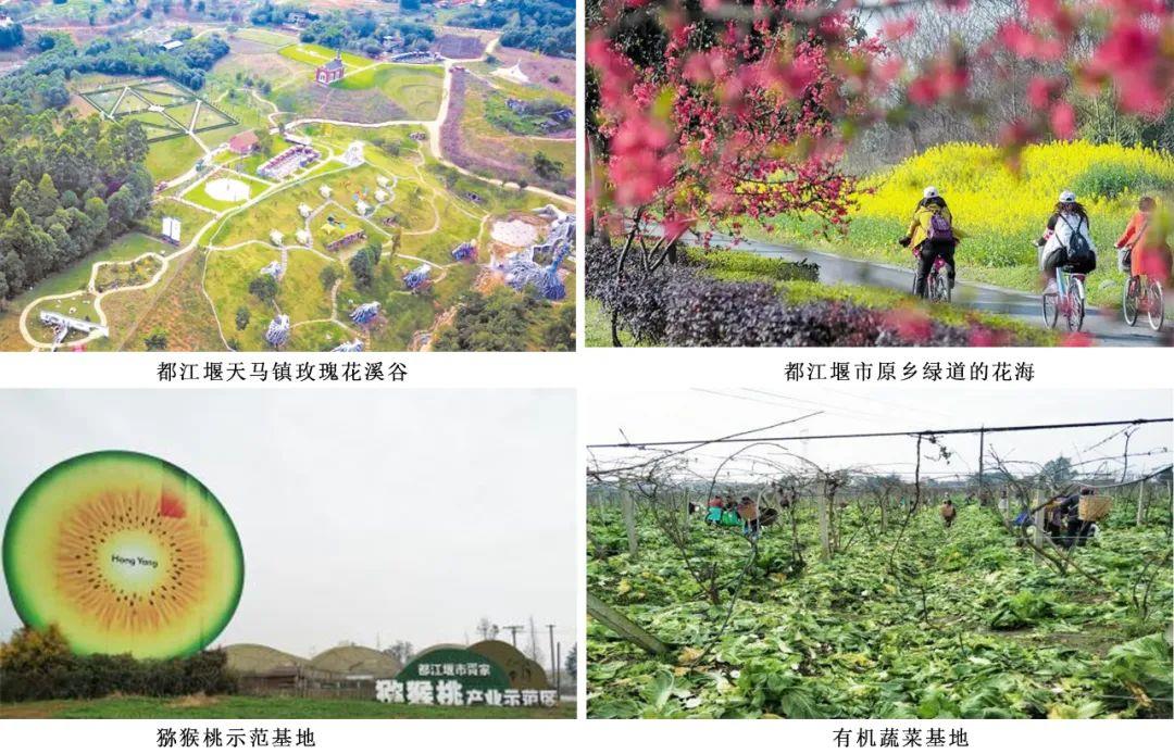 金沙990线路检测(集团)有限公司官网