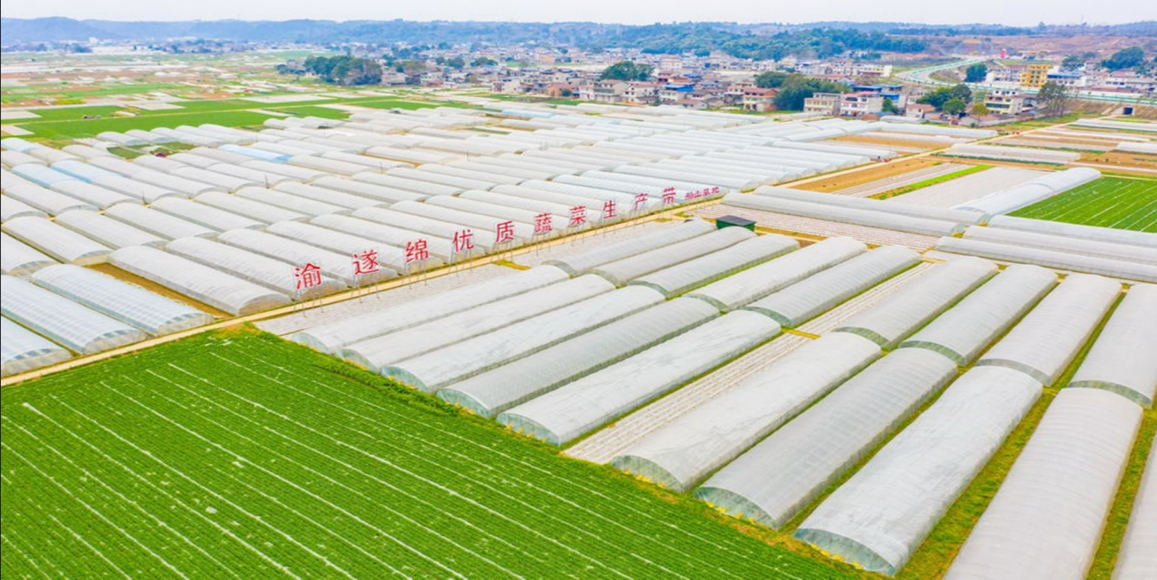 金沙990线路检测(集团)有限公司官网