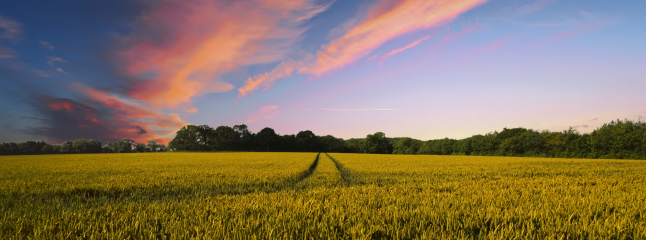 金沙990线路检测(集团)有限公司官网