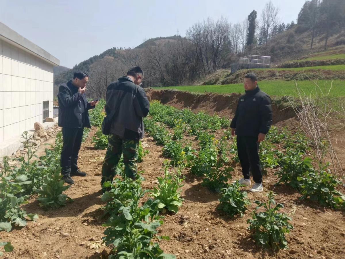 金沙990线路检测(集团)有限公司官网