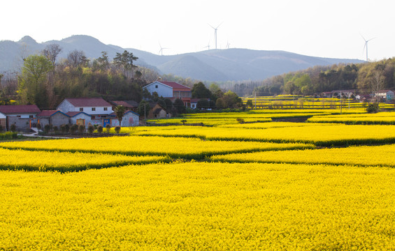 金沙990线路检测(集团)有限公司官网