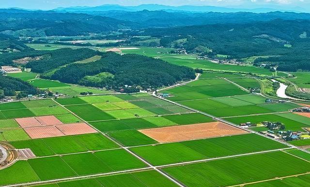 金沙990线路检测(集团)有限公司官网