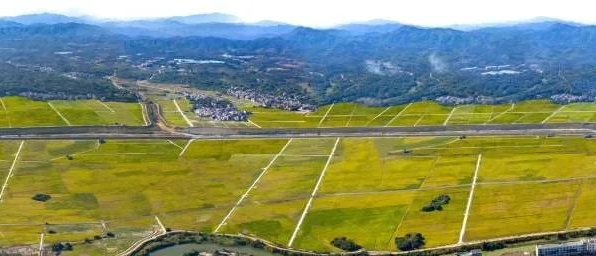 金沙990线路检测(集团)有限公司官网