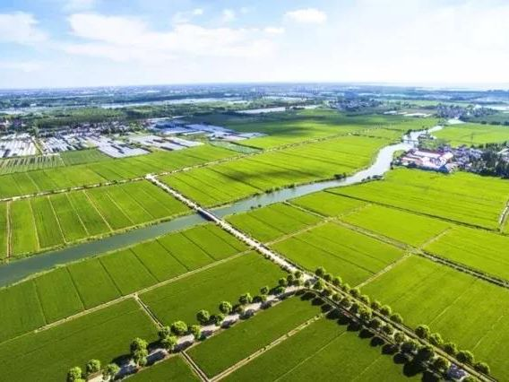 金沙990线路检测(集团)有限公司官网