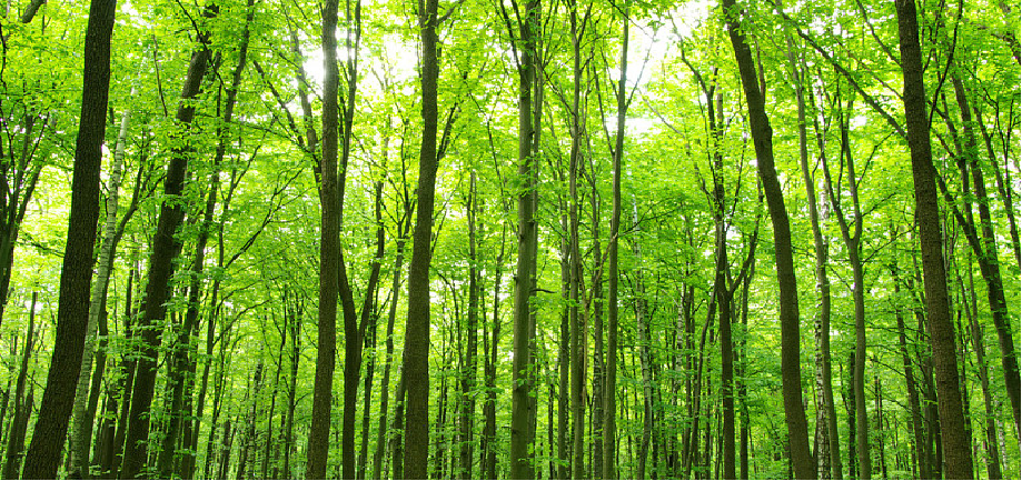 金沙990线路检测(集团)有限公司官网