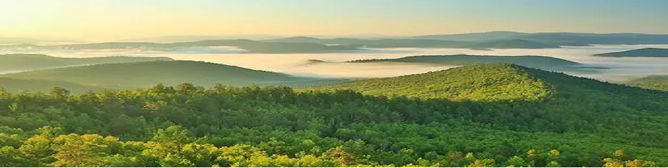 金沙990线路检测(集团)有限公司官网