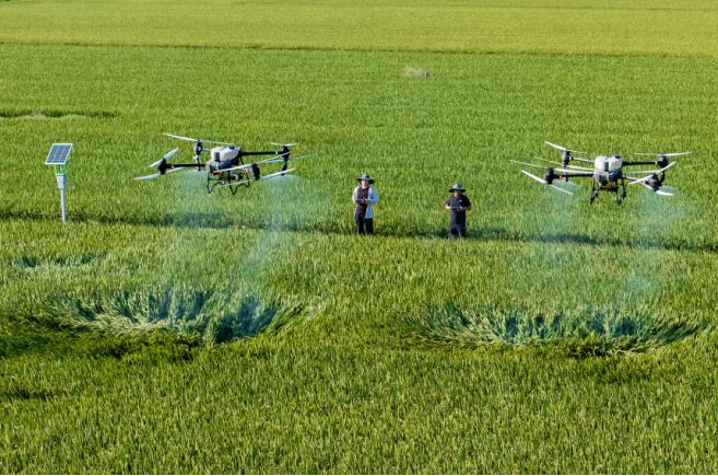 金沙990线路检测(集团)有限公司官网